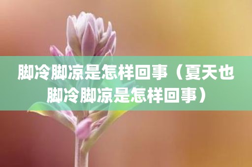 脚冷脚凉是怎样回事（夏天也脚冷脚凉是怎样回事）