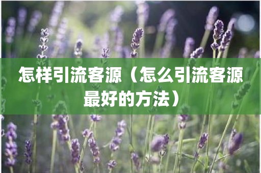怎样引流客源（怎么引流客源最好的方法）