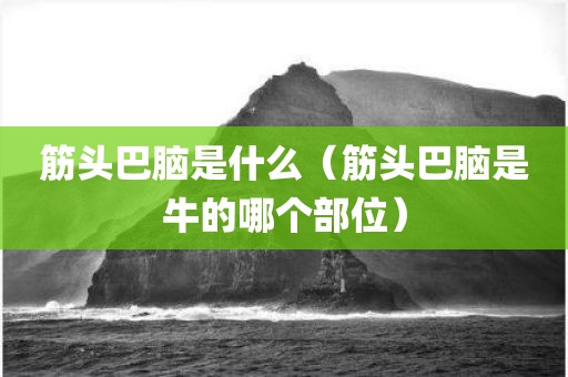 筋头巴脑是什么（筋头巴脑是牛的哪个部位）
