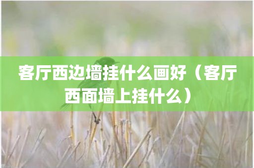 客厅西边墙挂什么画好（客厅西面墙上挂什么）