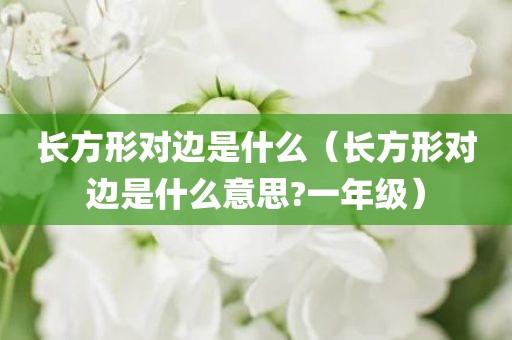 长方形对边是什么（长方形对边是什么意思?一年级）