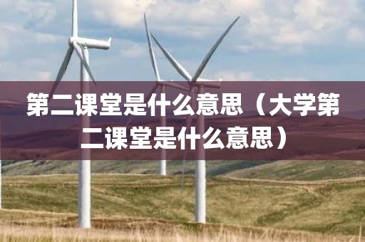 第二课堂是什么意思（大学第二课堂是什么意思）