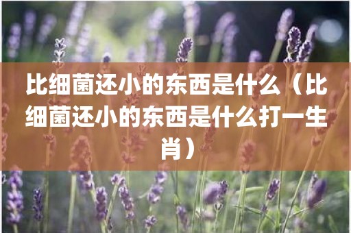 比细菌还小的东西是什么（比细菌还小的东西是什么打一生肖）
