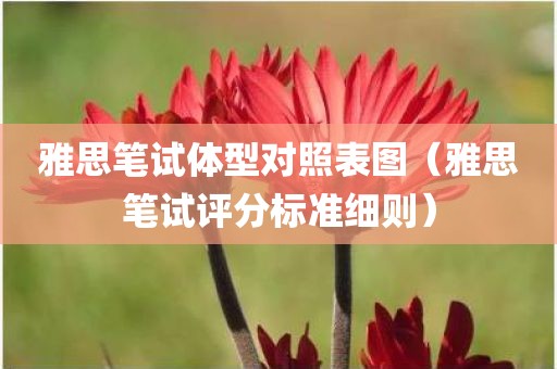 雅思笔试体型对照表图（雅思笔试评分标准细则）