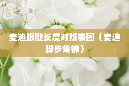 麦迪跟腱长度对照表图（麦迪脚步集锦）