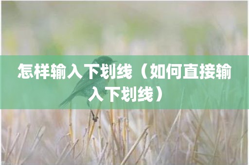 怎样输入下划线（如何直接输入下划线）