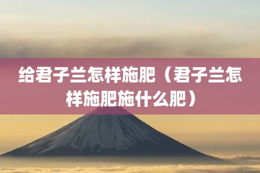 给君子兰怎样施肥（君子兰怎样施肥施什么肥）