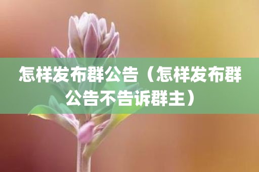 怎样发布群公告（怎样发布群公告不告诉群主）