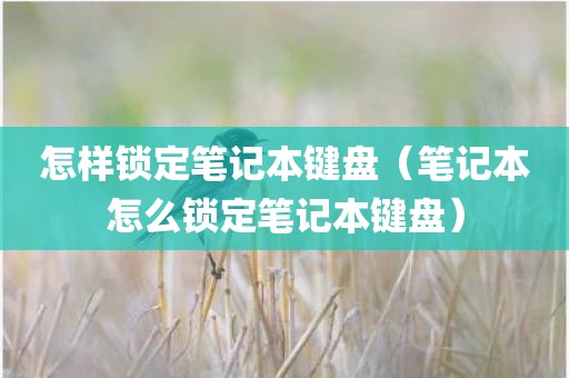 怎样锁定笔记本键盘（笔记本怎么锁定笔记本键盘）
