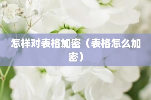 怎样对表格加密（表格怎么加密）