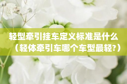 轻型牵引挂车定义标准是什么（轻体牵引车哪个车型最轻?）