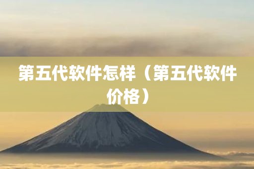 第五代软件怎样（第五代软件价格）