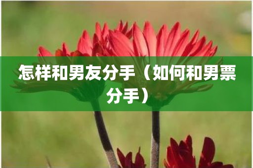 怎样和男友分手（如何和男票分手）