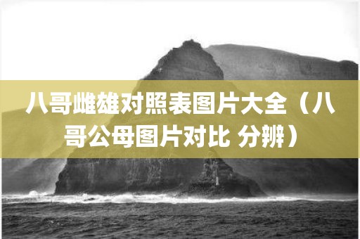 八哥雌雄对照表图片大全（八哥公母图片对比 分辨）