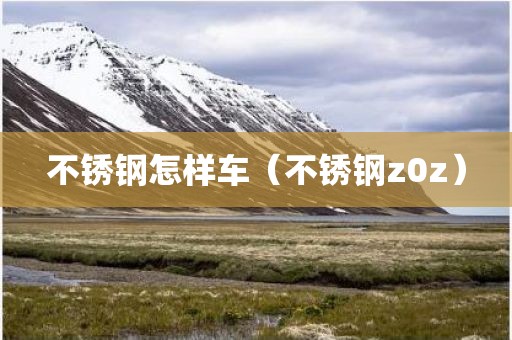 不锈钢怎样车（不锈钢z0z）