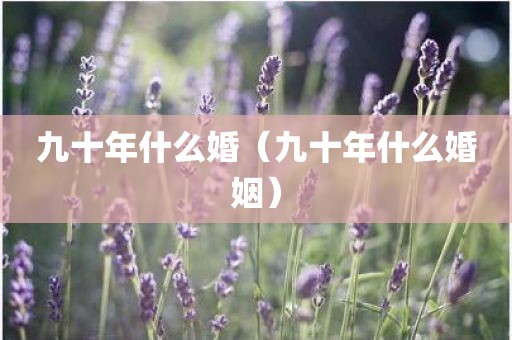 九十年什么婚（九十年什么婚姻）