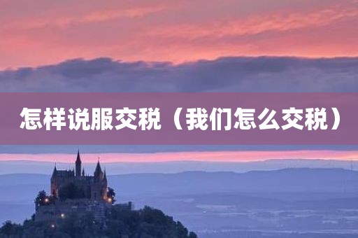 怎样说服交税（我们怎么交税）