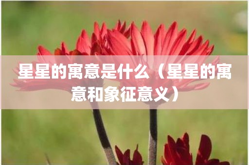 星星的寓意是什么(星星的寓意和象征意义)