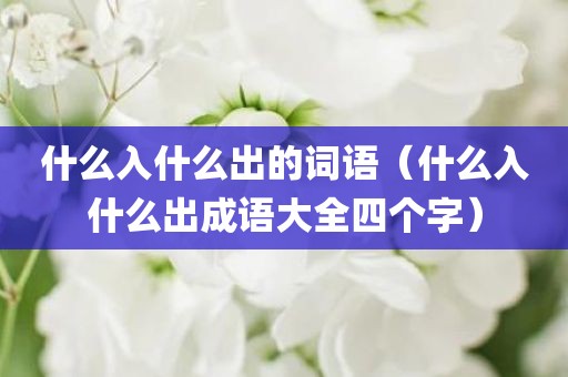 什么入什么出的词语（什么入什么出成语大全四个字）