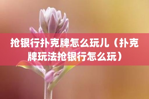 抢银行扑克牌怎么玩儿（扑克牌玩法抢银行怎么玩）