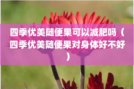 四季优美随便果可以减肥吗（四季优美随便果对身体好不好）