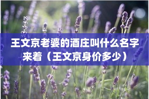 王文京老婆的酒庄叫什么名字来着（王文京身价多少）