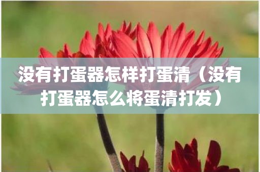 没有打蛋器怎样打蛋清（没有打蛋器怎么将蛋清打发）