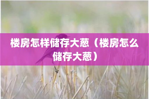 楼房怎样储存大葱（楼房怎么储存大葱）
