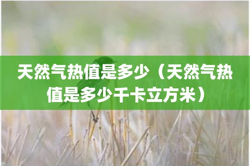 天然气热值是多少(天然气热值是多少千卡立方米)