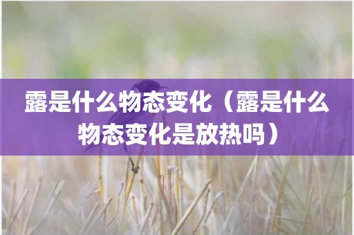 露是什么物态变化（露是什么物态变化是放热吗）