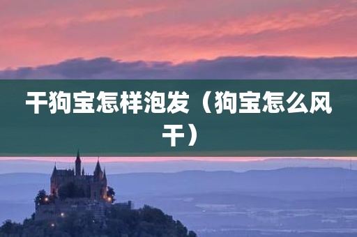 干狗宝怎样泡发（狗宝怎么风干）