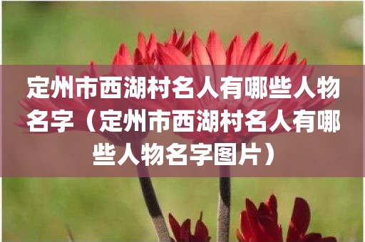 定州市西湖村名人有哪些人物名字（定州市西湖村名人有哪些人物名字图片）