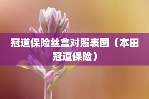 冠道保险丝盒对照表图（本田冠道保险）