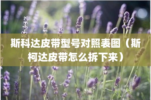 斯科达皮带型号对照表图（斯柯达皮带怎么拆下来）