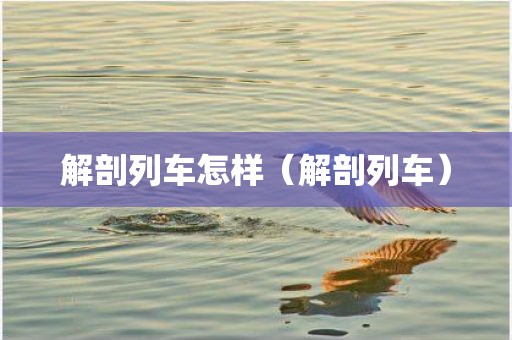 解剖列车怎样（解剖列车）