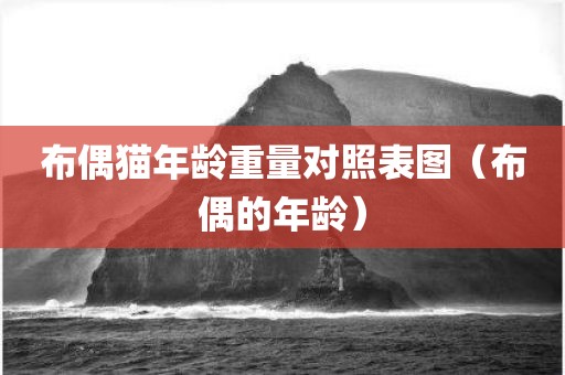 布偶猫年龄重量对照表图（布偶的年龄）