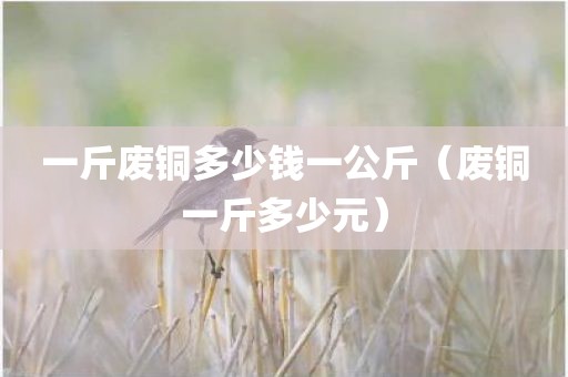 一斤废铜多少钱一公斤（废铜一斤多少元）