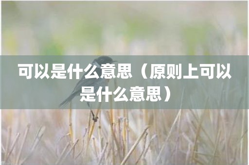 可以是什么意思（原则上可以是什么意思）