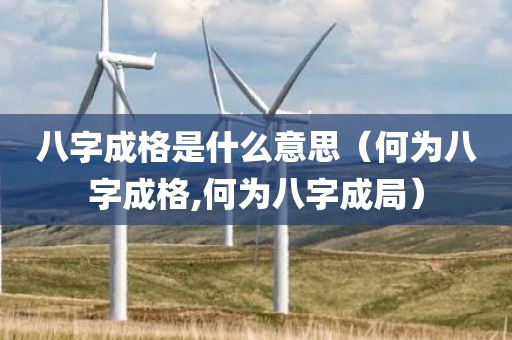 八字成格是什么意思（何为八字成格,何为八字成局）