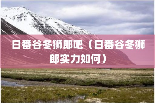日番谷冬狮郎吧（日番谷冬狮郎实力如何）