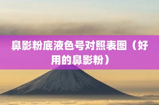 鼻影粉底液色号对照表图（好用的鼻影粉）