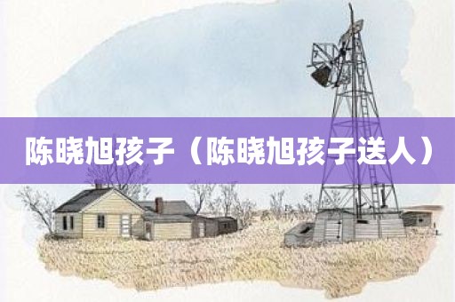 陈晓旭孩子（陈晓旭孩子送人）