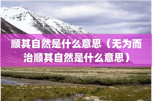 顺其自然是什么意思（无为而治顺其自然是什么意思）