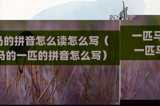 一匹马的拼音怎么读怎么写（一匹马的一匹的拼音怎么写）
