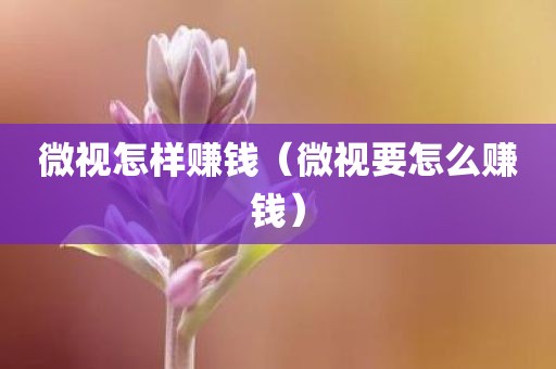微视怎样赚钱（微视要怎么赚钱）