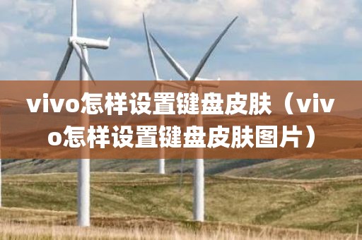 vivo怎样设置键盘皮肤（vivo怎样设置键盘皮肤图片）