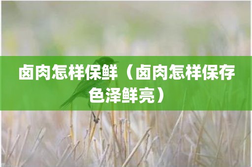 卤肉怎样保鲜（卤肉怎样保存色泽鲜亮）