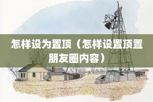 怎样设为置顶（怎样设置顶置朋友圈内容）