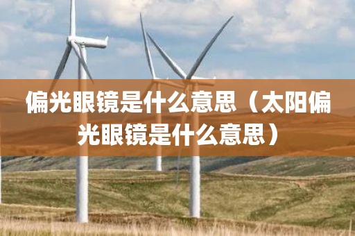 偏光眼镜是什么意思（太阳偏光眼镜是什么意思）
