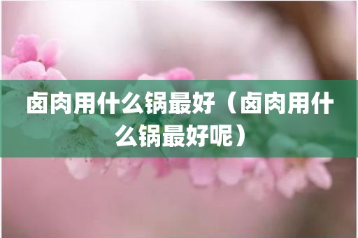卤肉用什么锅最好（卤肉用什么锅最好呢）